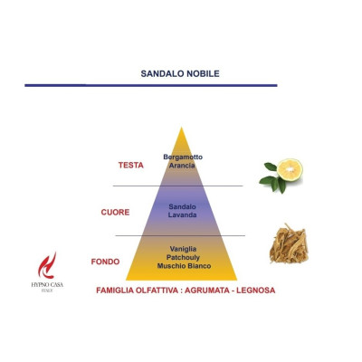 DIFFUSORE 100ML- SANDALO NOBILE
