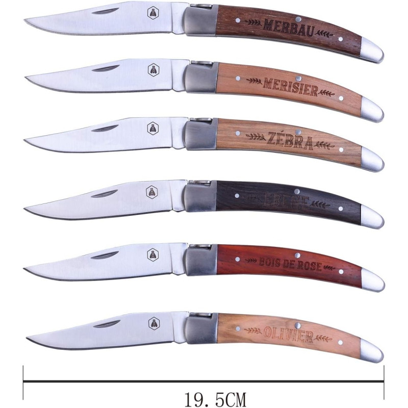 Coltelleria Laguiole Vetrinetta Con 6 Coltelli