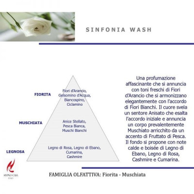 Profumatori Bucato Profumo Bucato 100 Ml Sinfonia Wash