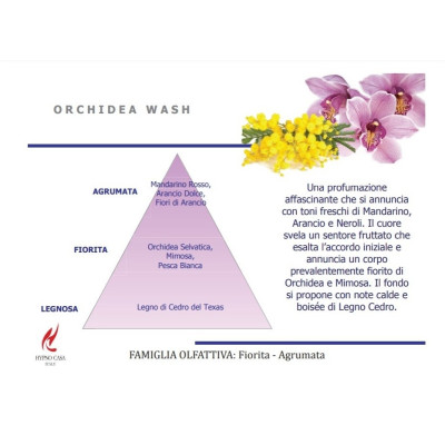 Profumatori Bucato Profumatore Bucato 200ml Orchidea Wash